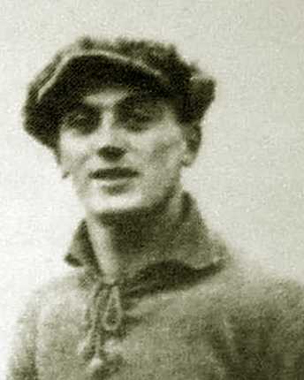 Lipizer Franco